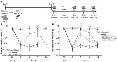 A Novel Peripheral Action of PICK1 Inhibition in Inflammatory Pain